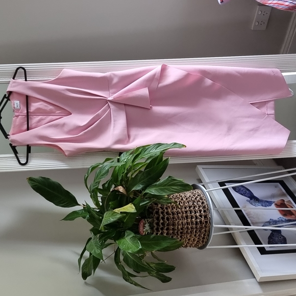 Sheike Dresses & Skirts - Sheike Baby Pink Dress size 8